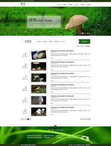 蘑菇网页设计 打造简约自然与功能并重的网站体验